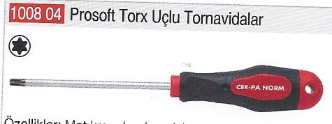 TORX TORNAVIDA PROSOFT T 25 X 100 MM